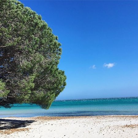 Appartement Proche Des Plus Belles Plages Porto-Vecchio  Eksteriør billede