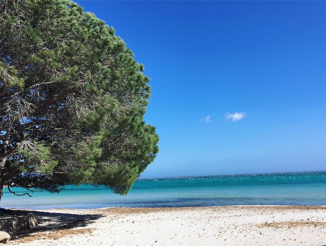 Appartement Proche Des Plus Belles Plages Porto-Vecchio  Eksteriør billede