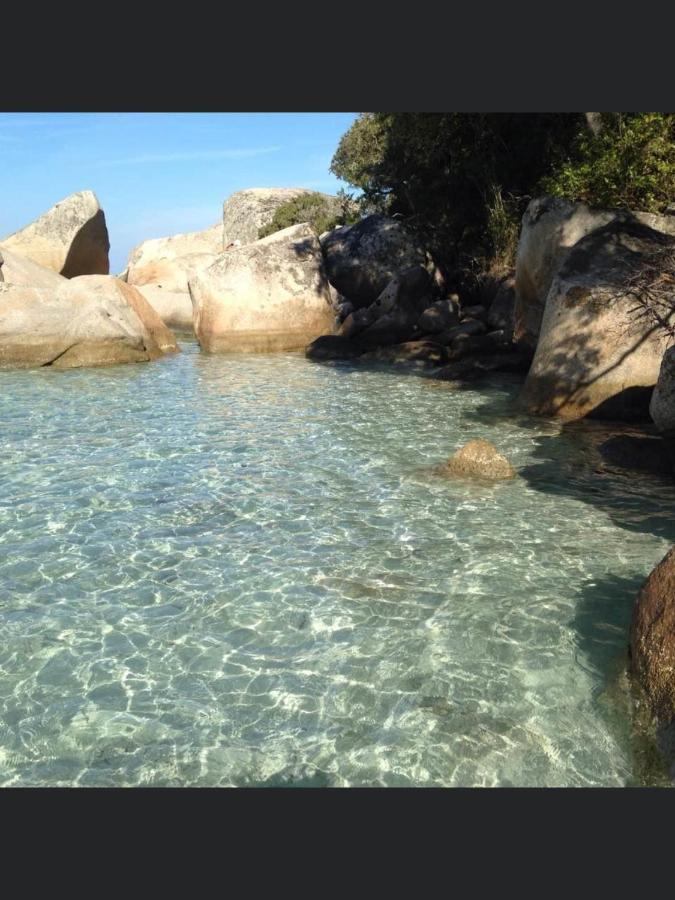 Appartement Proche Des Plus Belles Plages Porto-Vecchio  Eksteriør billede